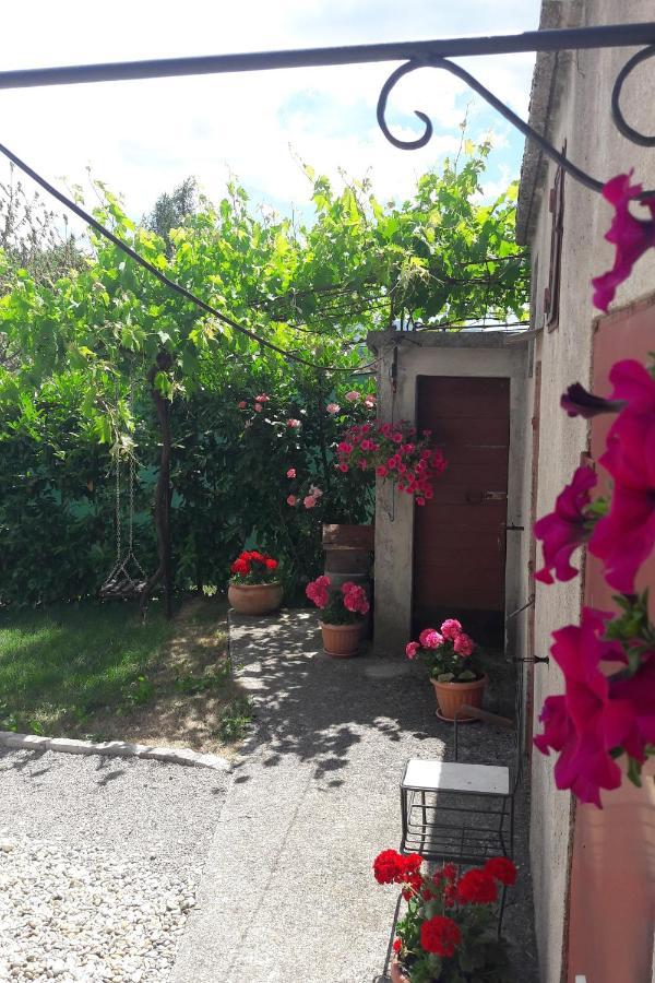 Holiday Home Ivana Pasjak Extérieur photo